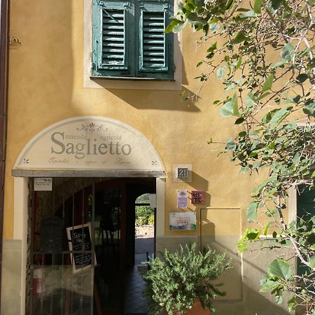 Uliveto Saglietto Agriturismo A Poggi Apartments Imperia Εξωτερικό φωτογραφία