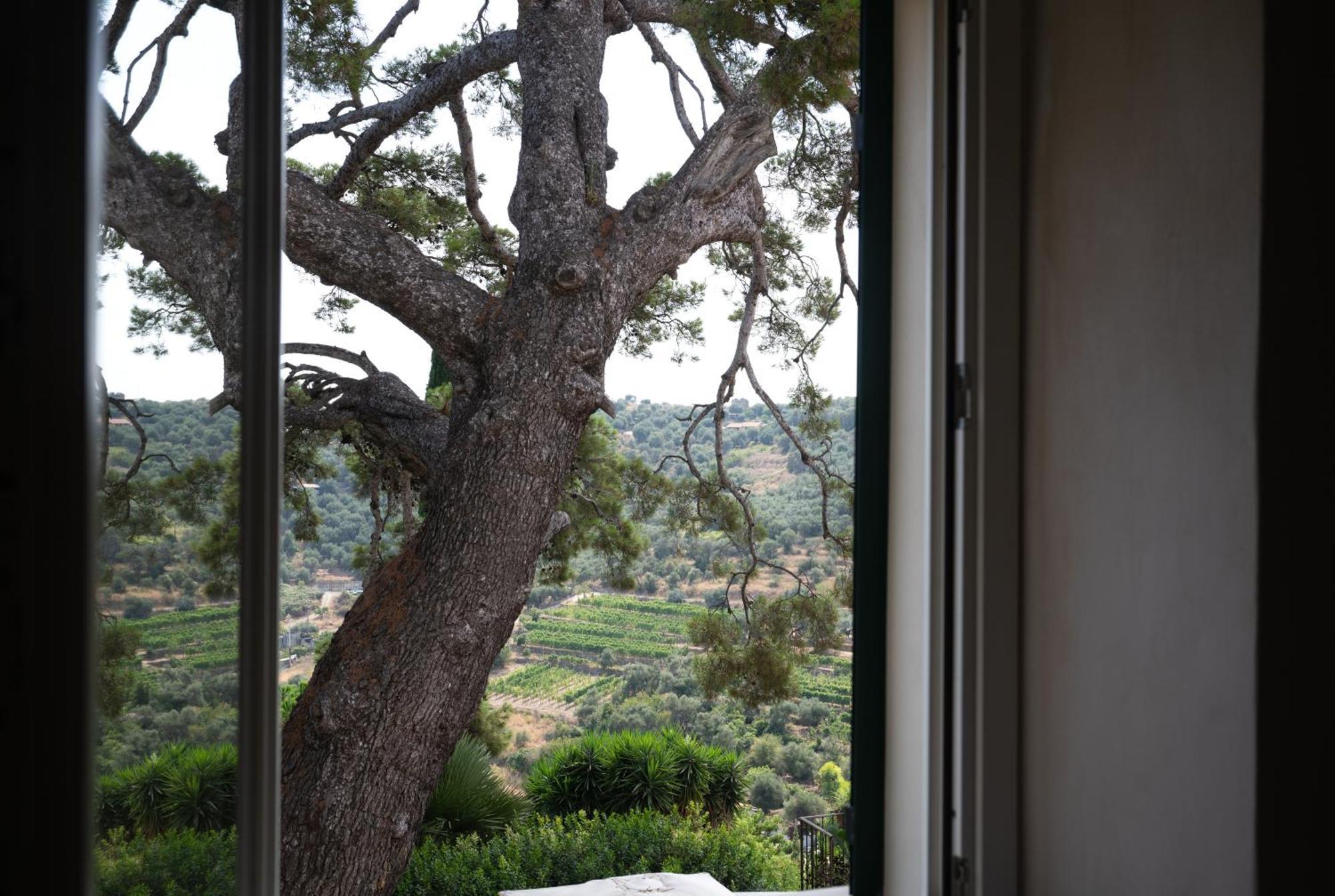 Uliveto Saglietto Agriturismo A Poggi Apartments Imperia Εξωτερικό φωτογραφία