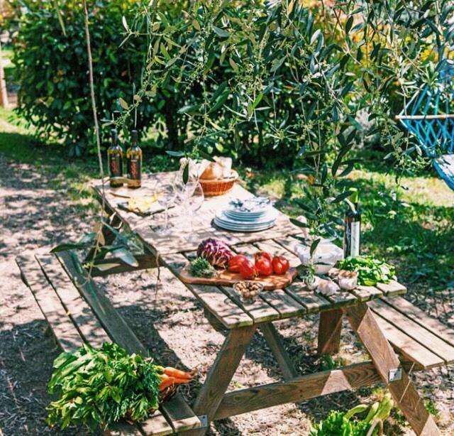 Uliveto Saglietto Agriturismo A Poggi Apartments Imperia Εξωτερικό φωτογραφία