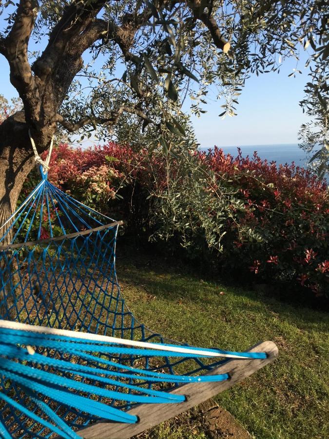 Uliveto Saglietto Agriturismo A Poggi Apartments Imperia Εξωτερικό φωτογραφία
